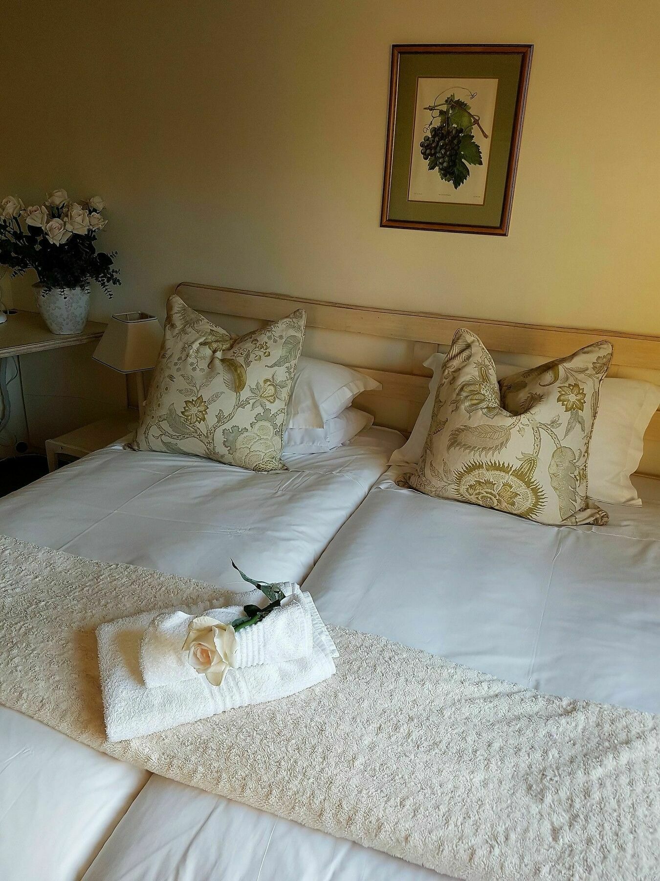 Valley Heights Guest House And B & B Cidade Do Cabo Exterior foto